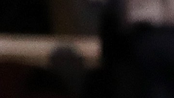 Cuccinelli sustituiría a L. Francis Cissna, que tiene amplía experiencia en derecho migratorio.
