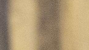 La regla del gobierno Trump afectaría a más de 250,000 familias inmigrantes