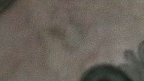 El dólar en México.