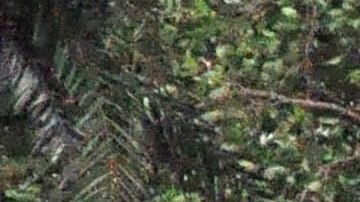 Un barrio inundado de Miami, Florida a raíz del huracán Irma en 2017.