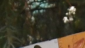 Uno de los principales problemas del proyecto es que no incluye a los "dreamers".