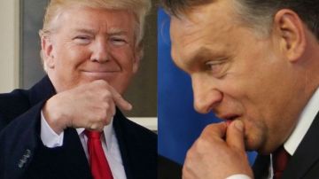 Las palabras de Trump dan un espaldarazo a las duras políticas migratorias de Orbán