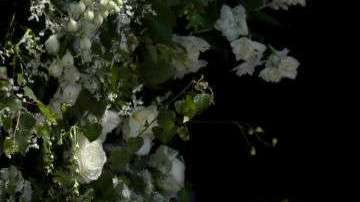 Meghan y Harry se casaron en mayo de 2018. Foto: Getty Images.