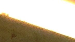 Son 50,000 las visas que se otorgan con el programa de diversidad.