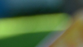 Hasta ahora no se registran problemas de salud por su consumo.