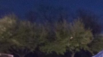 El cinco de mayo se convirtió en la peor pesadilla de esta mexicana