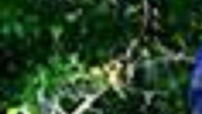 Los policías en Colorado no podrán cooperar fácilmente con ICE.