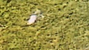 Maleah Davis ingresa al apartamento detrás de su padrastro Darion Vence, vestida con una blusa blanca y una faldita rosa.