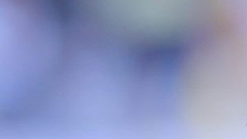 El exfutbolista Cuauhtémoc Blanco es hoy gobernador del estado mexicano de Morelos.