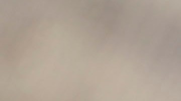 Gerardo Martino no podrá contar con dos elementos clave en la Copa Oro