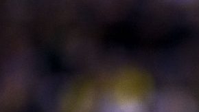 'Chucky' Lozano se baja de la convocatoria de la selección mexicana rumbo a la Copa Oro.