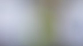 Ya están listos los choques de la Liguilla del Clausura 2019 de la Liga Bancomer MX.