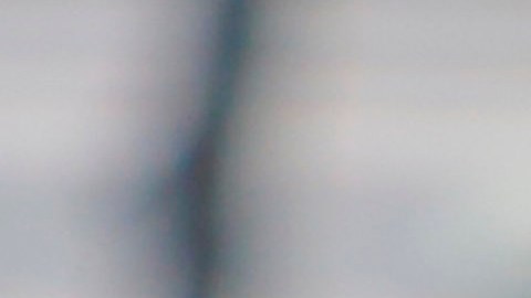 Miguel Herrera prepara a sus águilas para hacerle frente a León en las semifinales