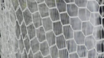 León venció a las Águilas del América que fueron 'locales' en el estadio La Corregidora de Querétaro.