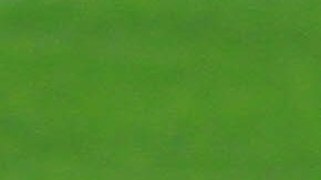 Giovani Dos Santos sorprendió a propios y extraños entrenando con la Selección Mexicana