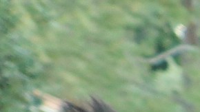 Familias protestan los altos costos de las rentas en LA. (Jorge Macías)