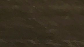 Los autobuses de Metro. (Archivo)