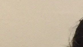 Se familiarizan con el lenguaje que utilizan en un mundo computarizado. (Jorge Morales)