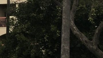 Trabajando duro por una buena causa en la ciudd de Compton.  (Suministrada)