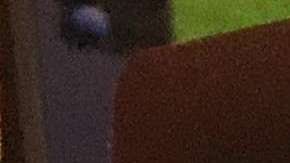 USCIS implementará otros ajustes paulatinamente.