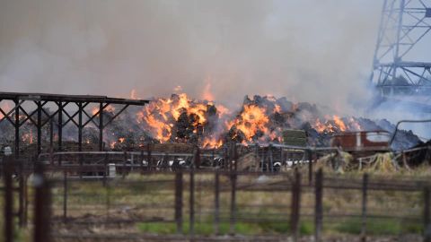 Imágenes del incendio en un lugar donde se acumulaba el heno en una granja lechera de Chino.