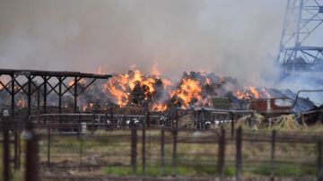 Imágenes del incendio en un lugar donde se acumulaba el heno en una granja lechera de Chino.