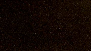 Por cada migrante que introducían a EEUU la organización cobraba entre 7,000 y 8,500 dólares, según la acusación.