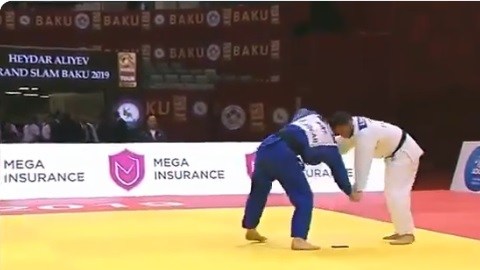 Judoca celular