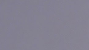 Hasta la fecha, ni la cadena de hamburguesas ni la influencer han aclarado cuál fue el problema.