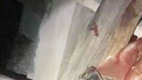 Venganza del CJNG tras detencion de jefe de plaza en Minatitlan