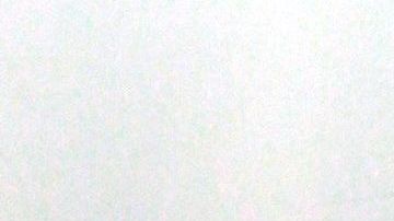 Laura Zapata, media hermana de Thalía