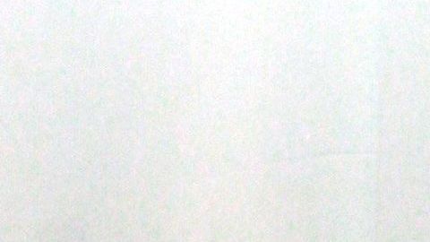 Laura Zapata, media hermana de Thalía