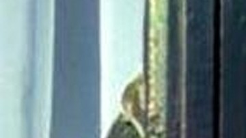 Gaby Spanic interpretó a "La Usurpadora"