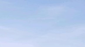 Más de 3,000 plantas de marihuana fueron halladas en el lugar.