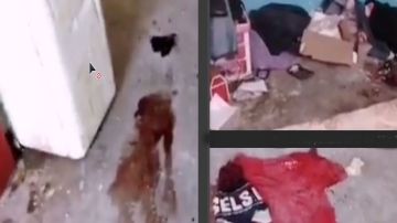 Masacre en supuesto picadero deja 4 muertos y 3 heridos en Ciudad Juárez