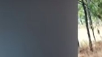 Enfrentamiento de cárteles deja 10 muertos en Michoacán.