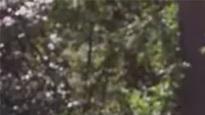 Un carpintero profesional hizo este sorprendente restaurante a escala súper detallista.