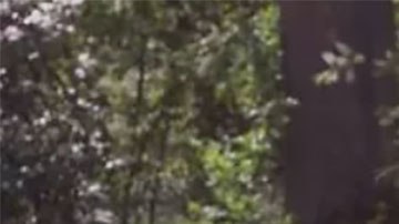 Un carpintero profesional hizo este sorprendente restaurante a escala súper detallista.