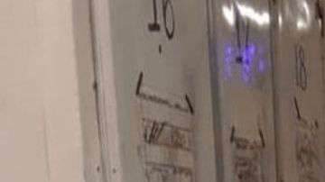 Morgue de Tijuana las escabrosas imagenes que demuestran la violencia que all se vive