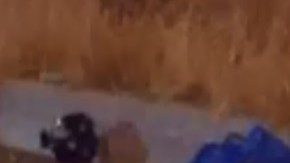 El incidente ocurrió en la calle Main en el centro de Los Ángeles.