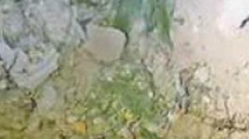 Mujeres fosa clandestina Ciudad Juárez
