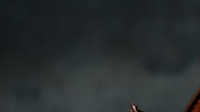 El ingreso promedio por hogar en New Square es de tan sólo $23,924 dólares.