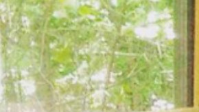 Los osos disfrutaron del agua caliente del jacuzzi.