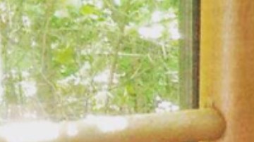 Los osos disfrutaron del agua caliente del jacuzzi.