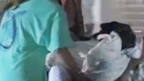 La familia del perro lo cargo al carro para llevarlo a un veterinario luego de que los sospechosos huyeran de la escena.