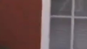 Los perros fueron encontrados en condiciones de inmundicia.