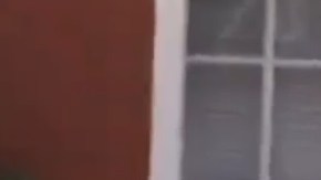 Los perros fueron encontrados en condiciones de inmundicia.