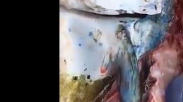 Dentro del pescado había todo tipo de residuos plásticos.