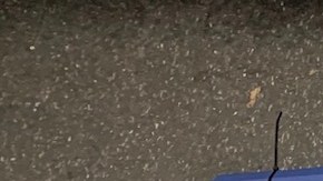 El sospechoso llevaba consigo más de $13,000 dólares en lo que se sospecha serían ganancia de la venta y distribución de droga.