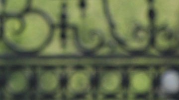 El príncipe William.